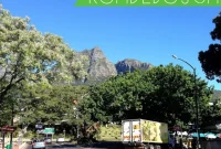 One Day in Rondebosch Cape Town Travel Guide