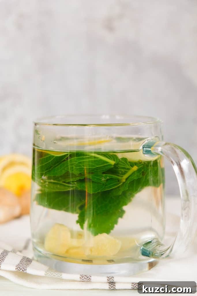 Fresh lemon ginger mint tea