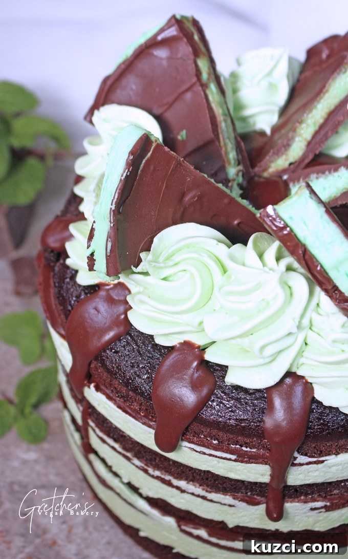 Vegan Andes Mint Chocolate Cake Recipe 3 Andes Mint Cake