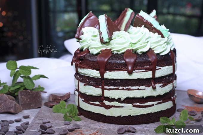 Vegan Andes Mint Chocolate Cake Recipe 5 Andes Mint Cake