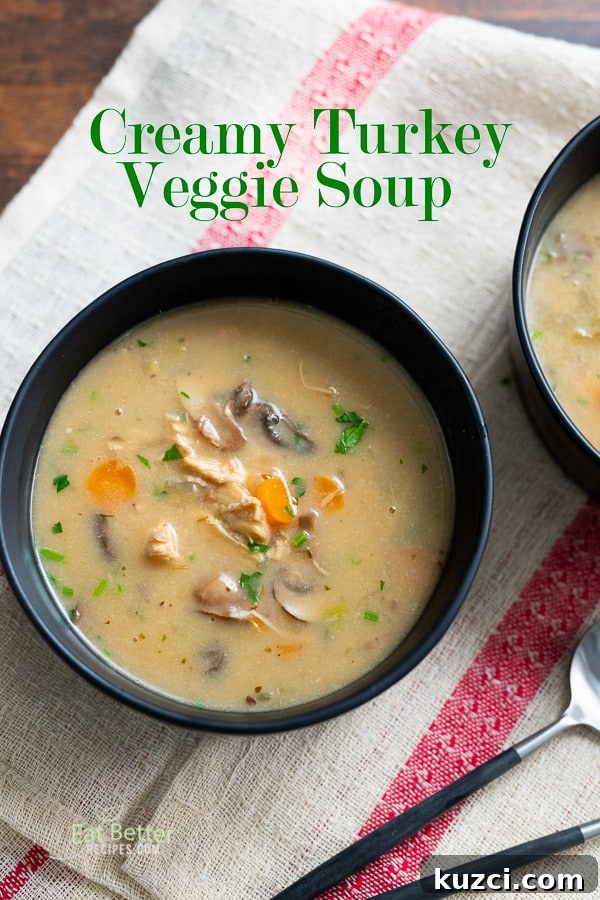 Creamy Turkey Vegetable Soup Recipe Creamy Turkey Vegetable Soup Recipe in a bowl