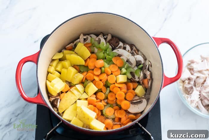 Creamy Turkey Vegetable Soup Recipe 3 Turkey Vegetable Soup Recipe