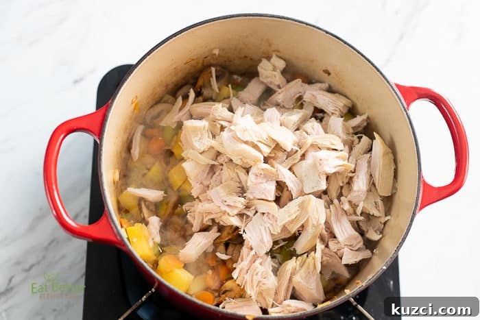 Creamy Turkey Vegetable Soup Recipe 4 Turkey Vegetable Soup Recipe
