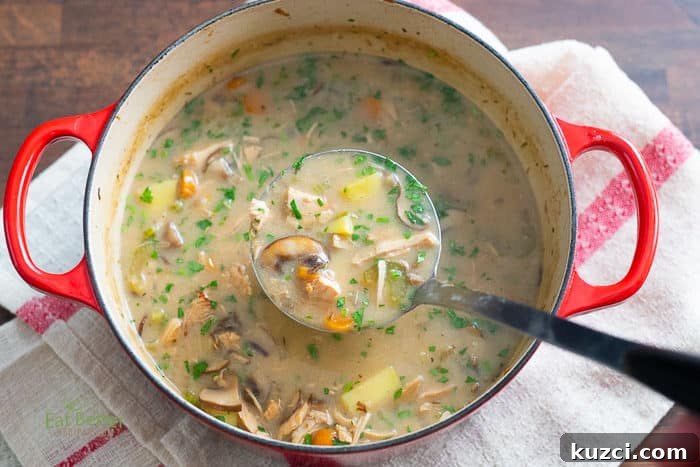 Creamy Turkey Vegetable Soup Recipe 6 Turkey Vegetable Soup Recipe