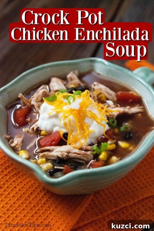 Slow Cooker Chicken Enchilada Soup Recipe 2 Crockpot chicken enchilada soup over a bowl of soup garnished with sour cream and cheese