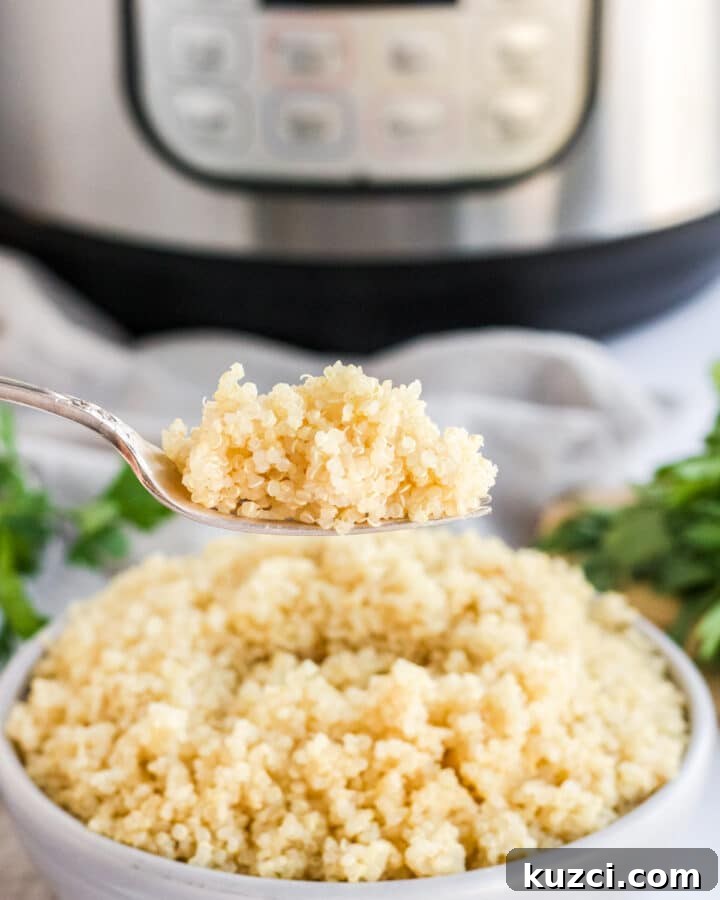 instant pot quinoa on a fork