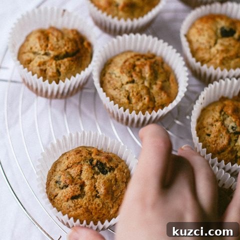 Healthy Breakfast Carrot Cake Muffins