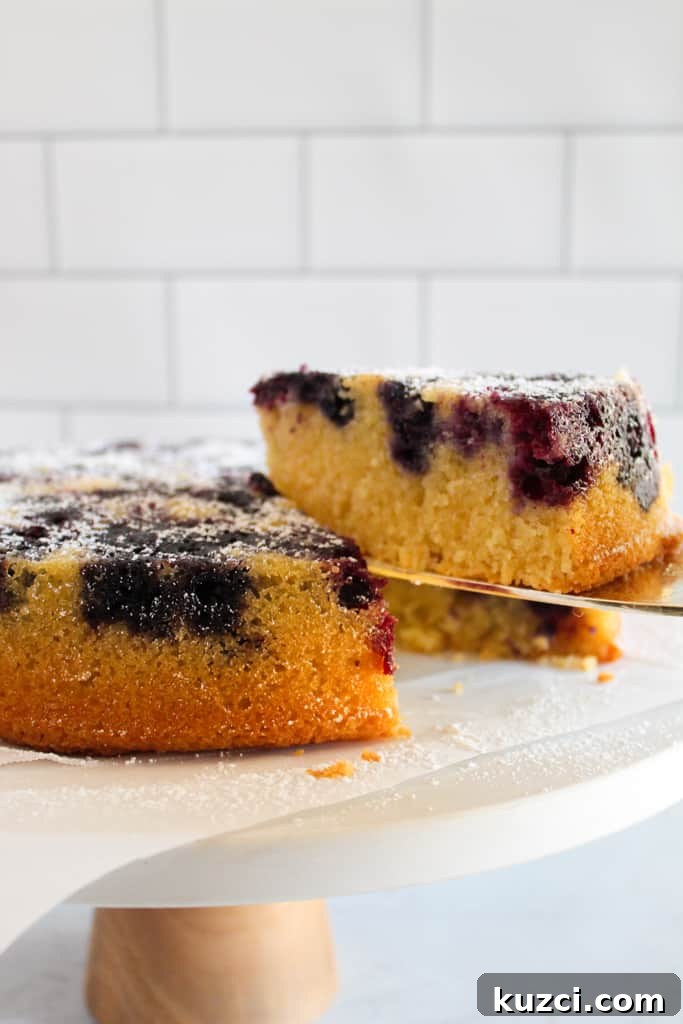 Moist Gluten Free Blueberry Cake Recipe 2 slice of blueberry cake on a white pedal