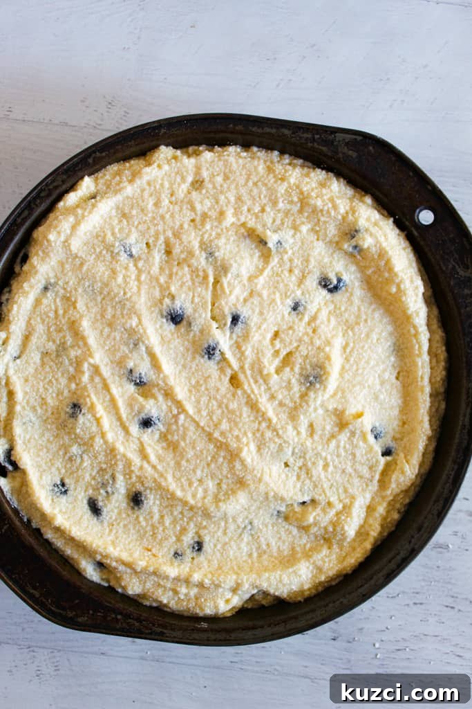 Moist Gluten Free Blueberry Cake Recipe 8 blueberry cake batter in the pan
