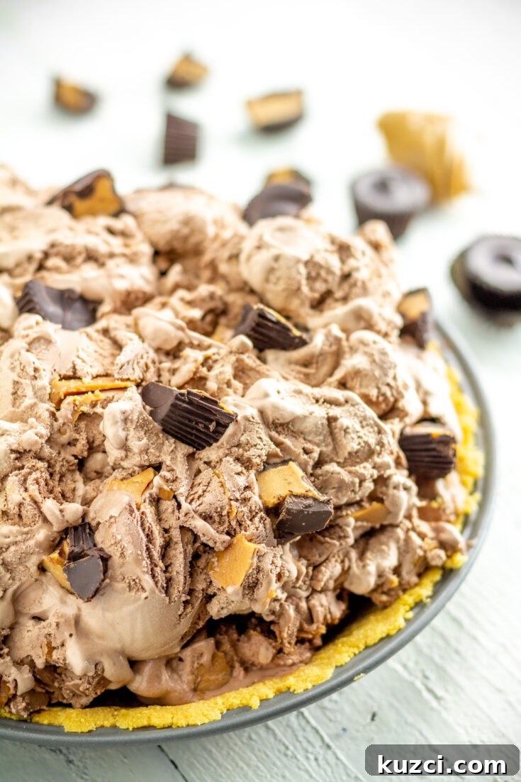 No-Bake Gluten-Free Ice Cream Pie with Chocolate Cookie Crust 3 a chocolate peanut butter ice cream pie.