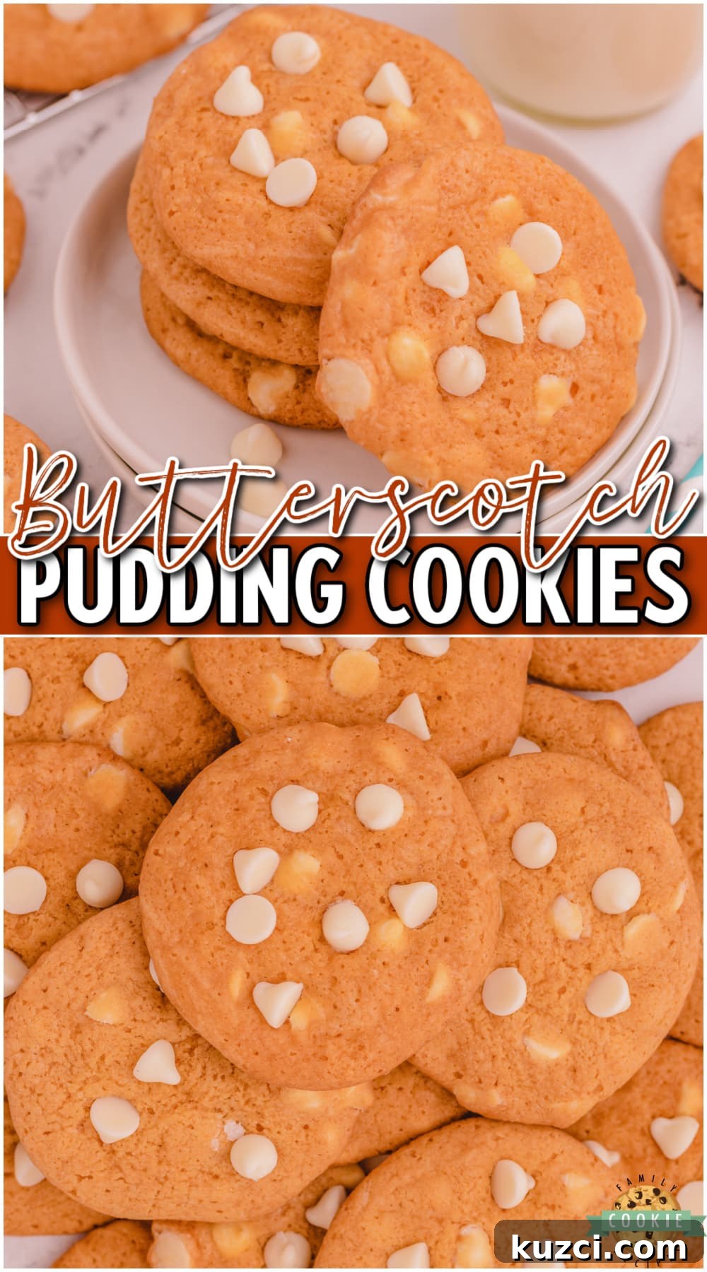 Classic Chewy Butterscotch Pudding Cookies 12 Butterscotch Pudding Cookies are a delightful cookie with great butterscotch flavor! This butterscotch cookie recipe is so simple to make & the pudding gives them the best texture & taste.