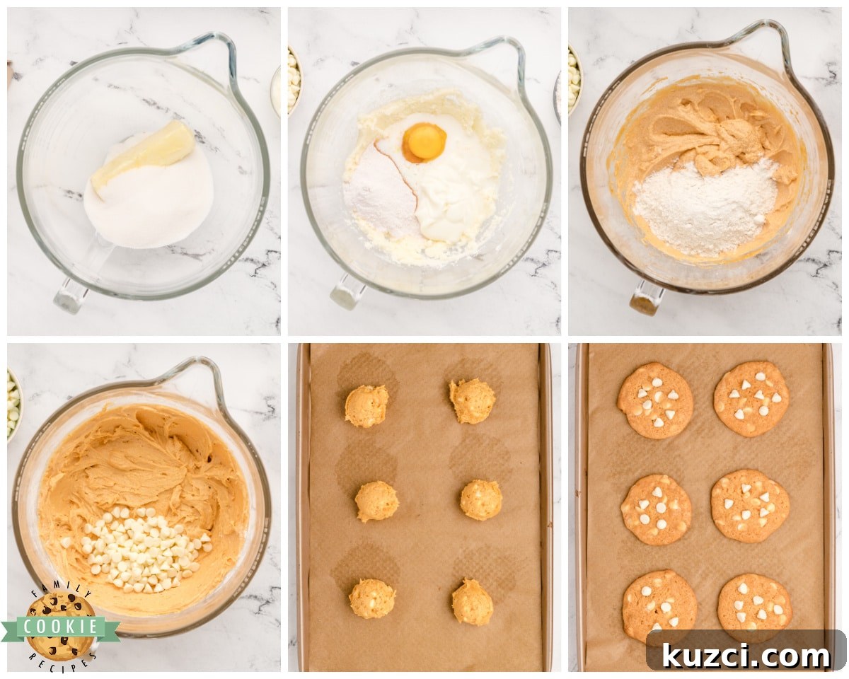 Classic Chewy Butterscotch Pudding Cookies 5 how to make cookies with butterscotch pudding