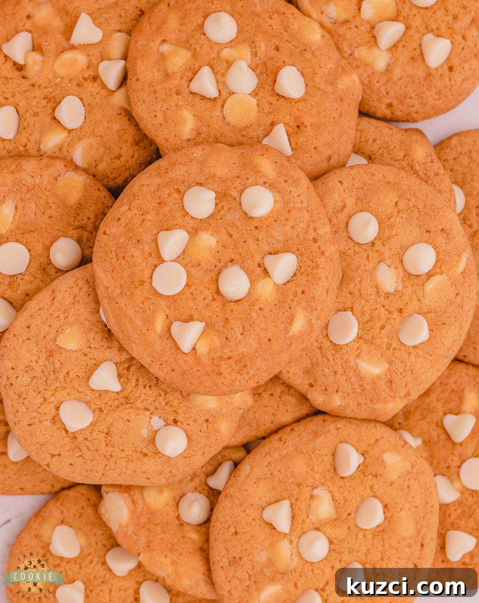 Classic Chewy Butterscotch Pudding Cookies 6 butterscotch pudding cookies