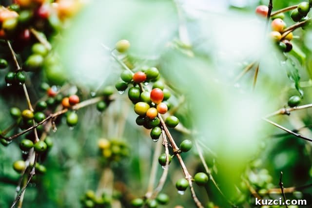 Coffee Origins: A Global Guide to Growing Regions 2 img 128854 1