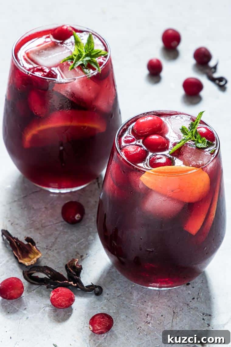 Vodka Cocktail Recipes: Classic and Creative Drinks to Try 2 hibiscus moscow mule in two glasses