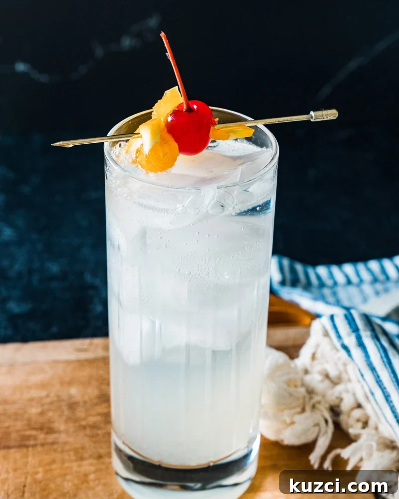 Vodka Cocktail Recipes: Classic and Creative Drinks to Try 13 Vodka Collins