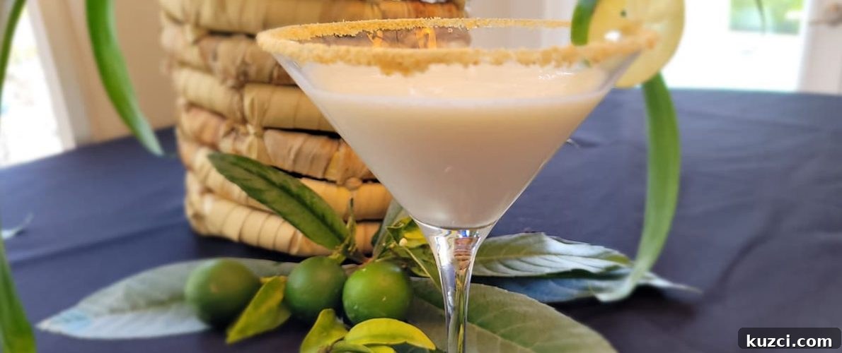 Vodka Cocktail Recipes: Classic and Creative Drinks to Try 15 Shameless Tart martini