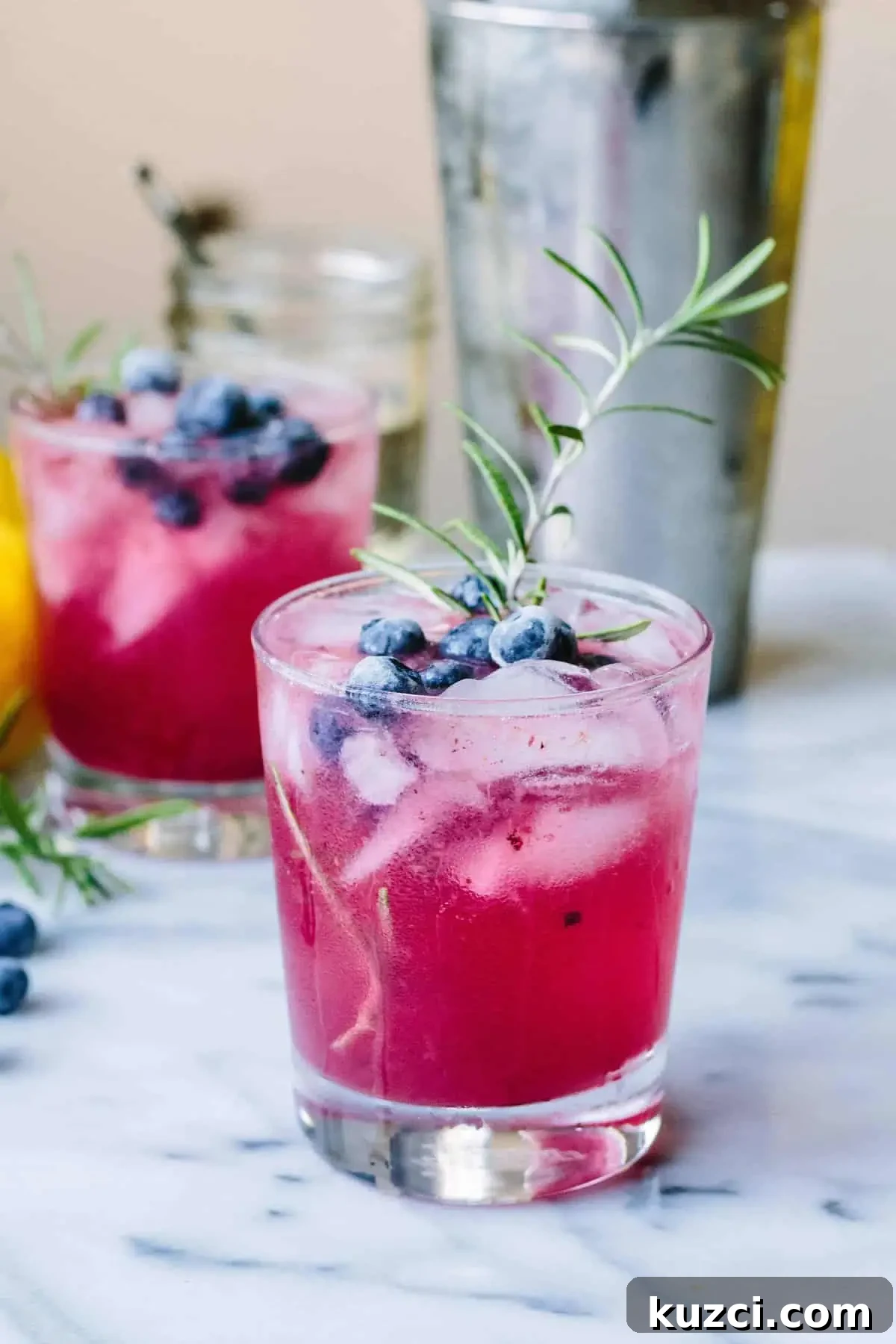 Vodka Cocktail Recipes: Classic and Creative Drinks to Try 17 blueberry rosemary vodka spritzer