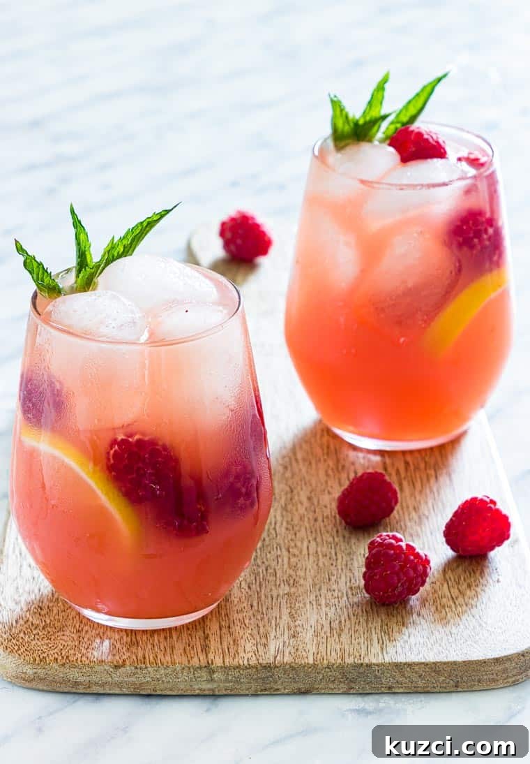 Vodka Cocktail Recipes: Classic and Creative Drinks to Try 4 two glasses of vodka lemonade cocktail