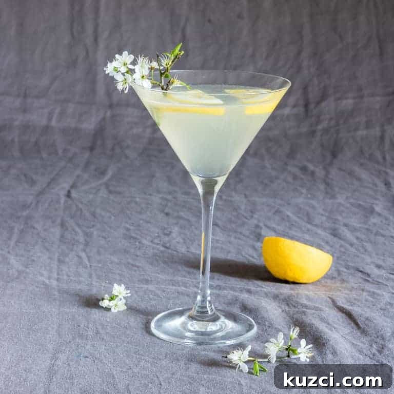 Vodka Cocktail Recipes: Classic and Creative Drinks to Try 6 lemon drop martini