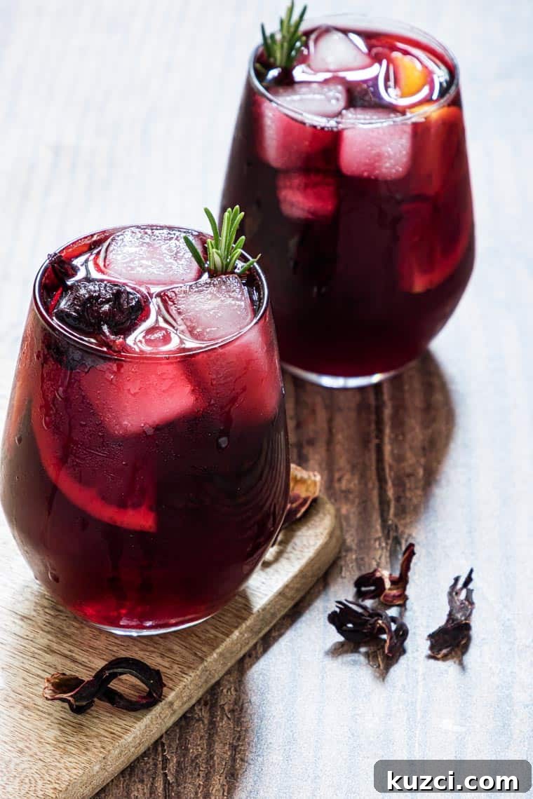 Vodka Cocktail Recipes: Classic and Creative Drinks to Try 8 two glasses of hibiscus moscow mule