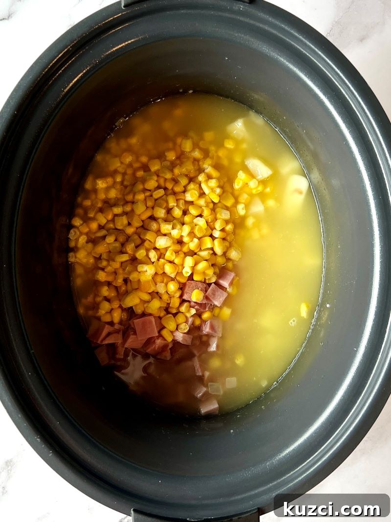 Slow cooker with onions, garlic, potatoes, ham, corn, and chicken broth