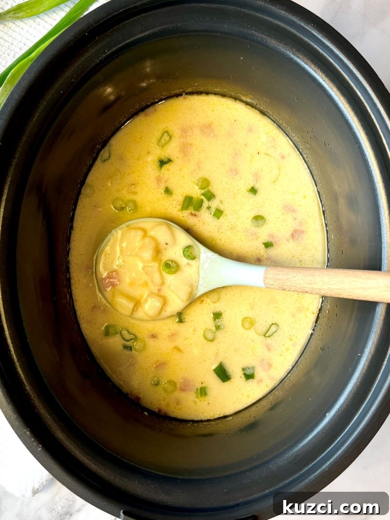Creamy cheesy ham and potato chowder in the slow cooker