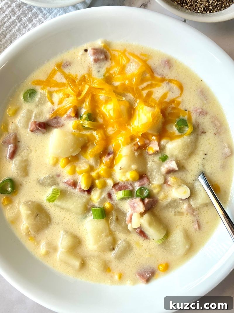 Bowl of cheesy ham and potato chowder topped with cheese and green onions