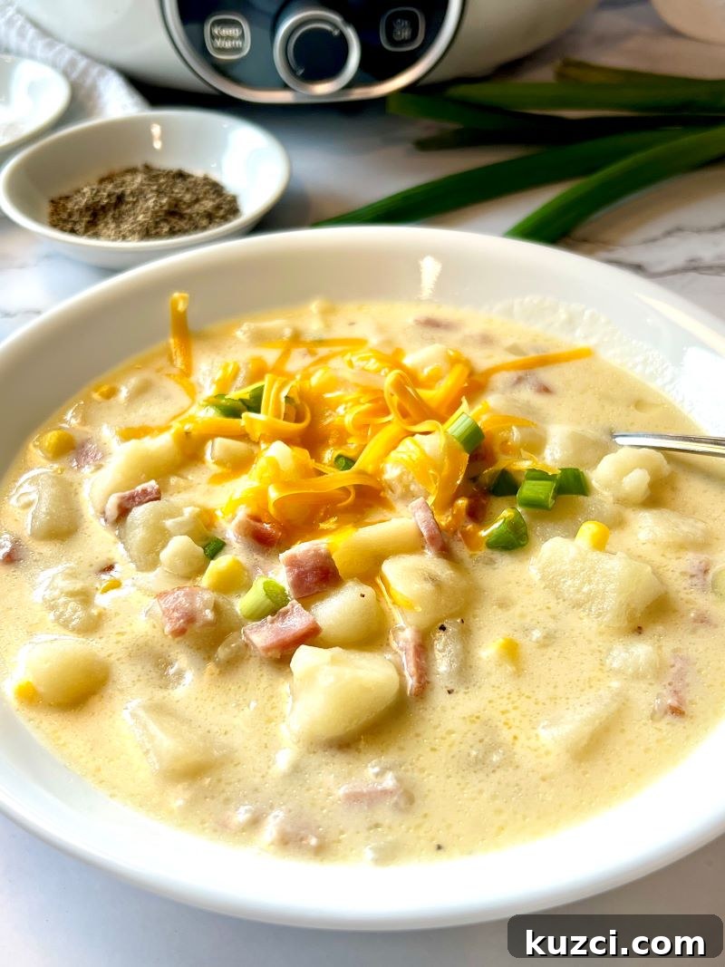 Cheesy ham and potato chowder served in a bowl