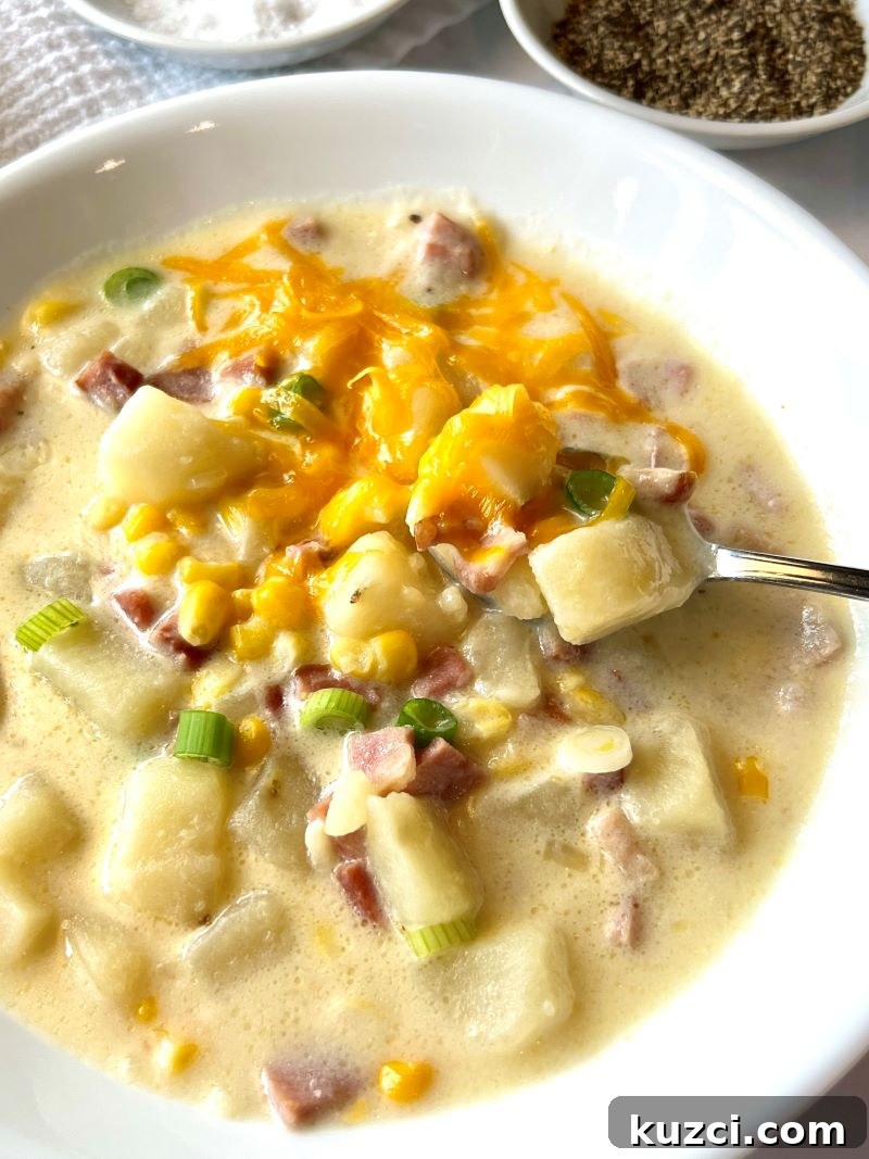 Crockpot cheesy ham and potato chowder