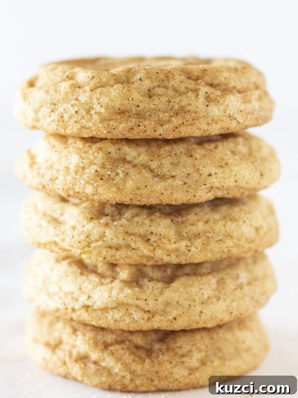 5 Snickerdoodle Cookies stacked on each other.