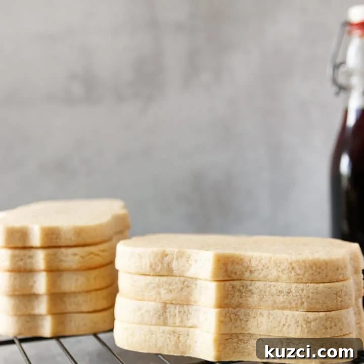 easy soft sugar cookie recipes