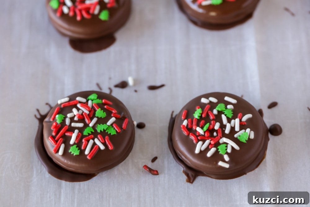 Chocolate covered Christmas Oreos with sprinkles on parchment paper. Chocolate covered Oreos with Christmas sprinkles on parchment paper.