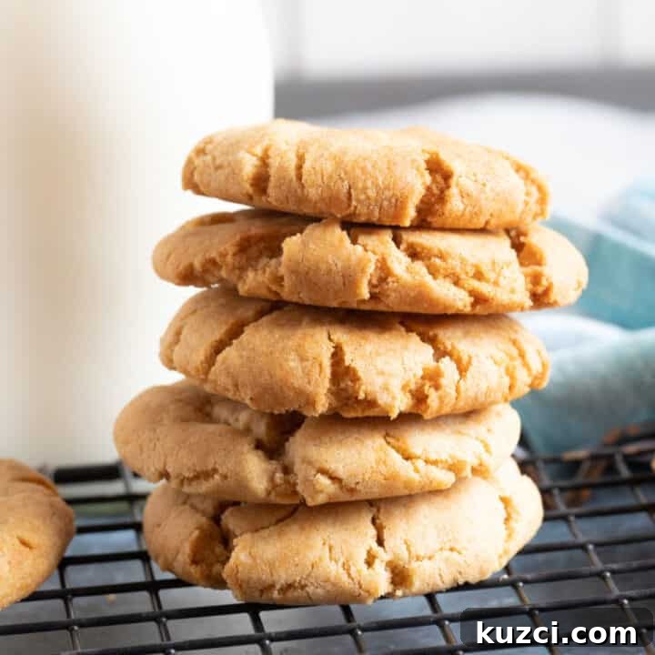 A stack of ginger cookies.