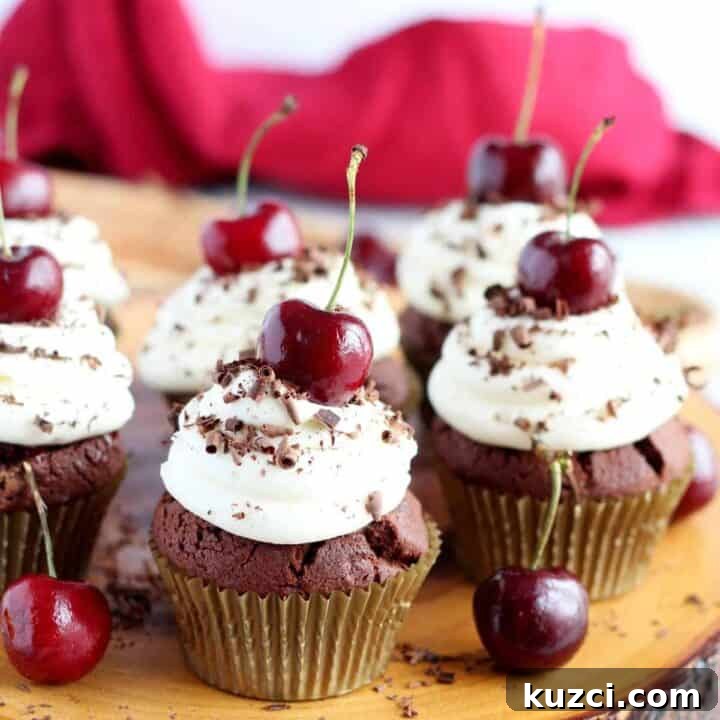 Black forest cupcakes.