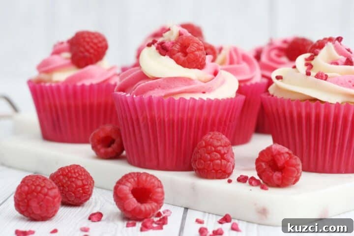 Raspberry cupcakes with two-toned icing.