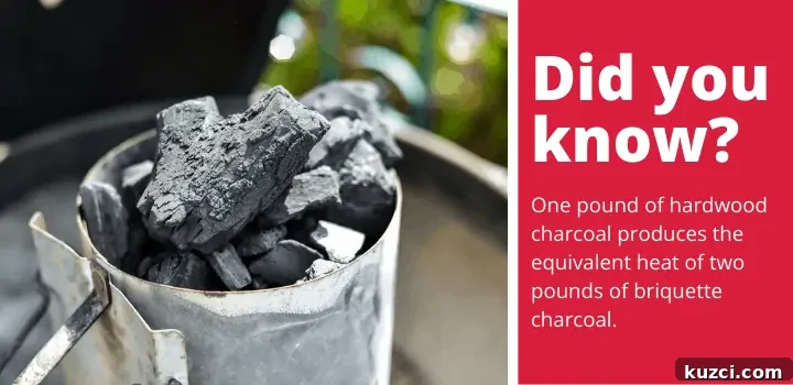 5 Lump Charcoal Options for Smoking: 2023 Review 2 bags of lump charcoal