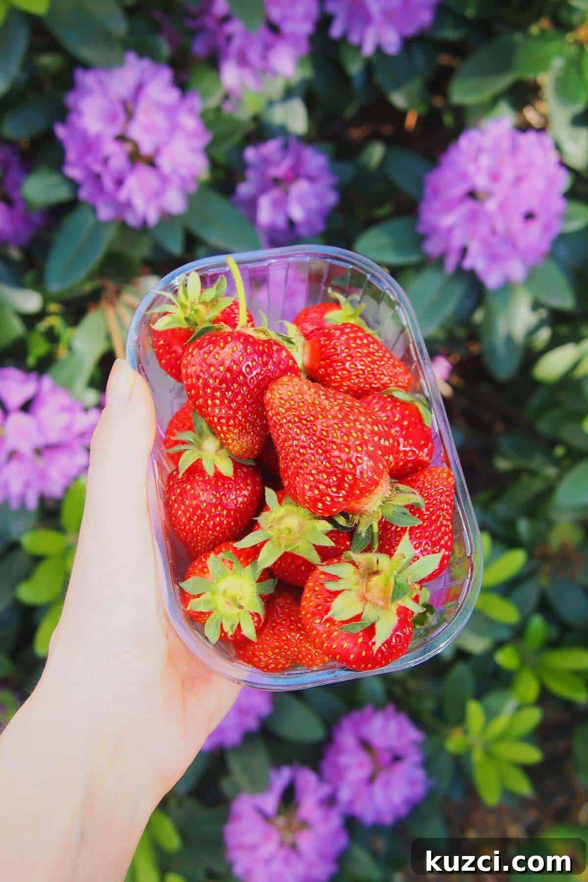 A person holding a plastic container filled with fresh strawberries.