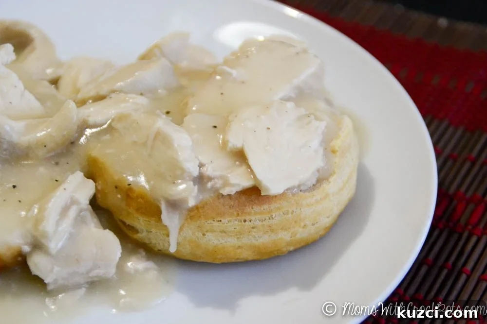 Crock Pot Chicken and Gravy Recipe 3 Simple, figure friendly, and delicious Crock Pot Chicken & Gravy Recipe. Amazing over some fresh biscuits or rice.