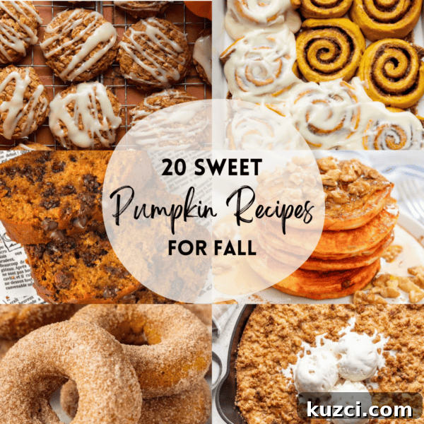 Pumpkin Pie with Graham Cracker Crust Recipe 9 img 16877 8