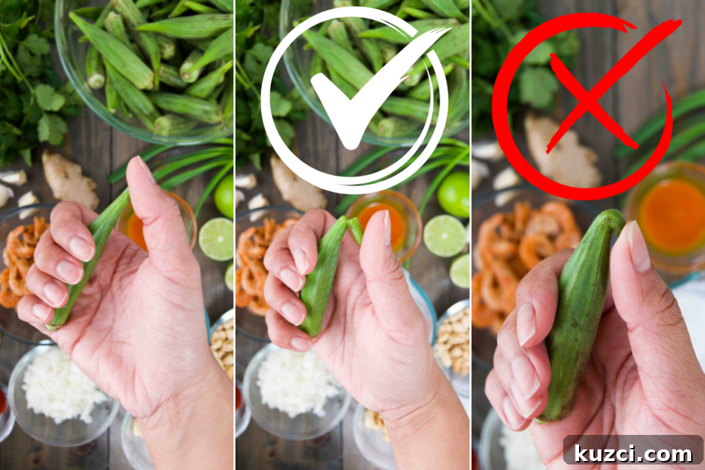 Caruru: Brazilian Shrimp and Okra Stew Recipe 5 A collage of three images showing how to check the freshness of a pod of okra
