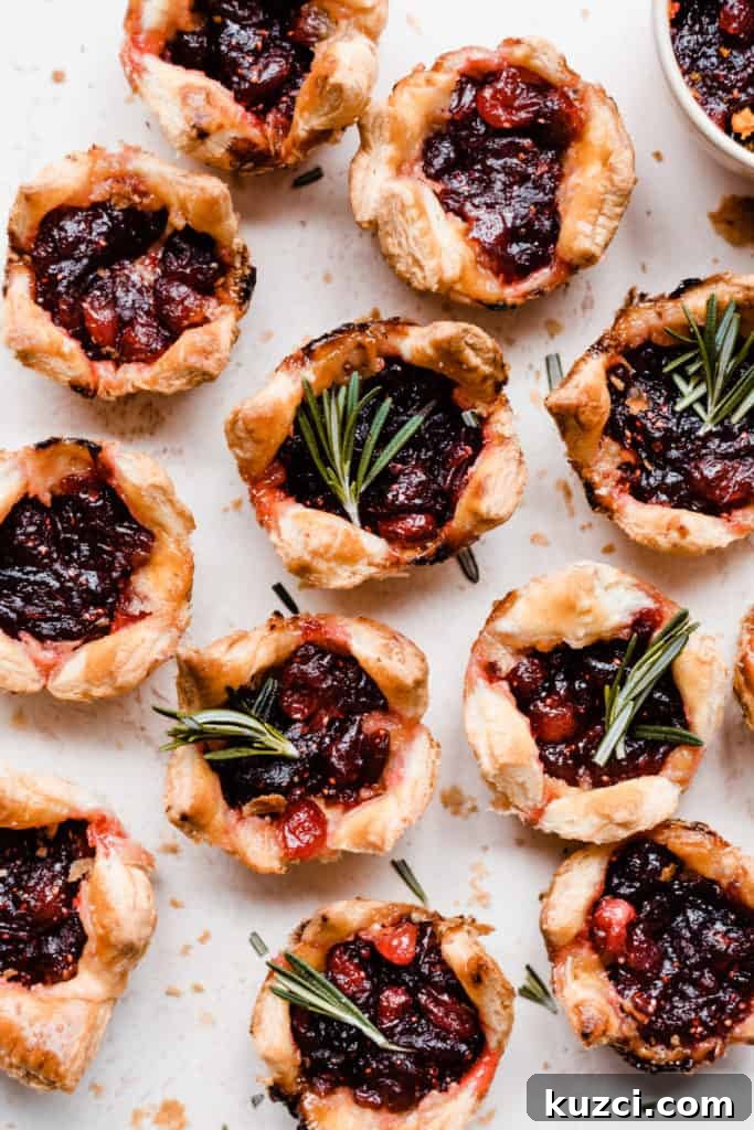 Gouda Puff Pastry Bites with Spiced Rum Cranberry Sauce 6 Puff Pastry bites garnished with fresh rosemary on a light surface