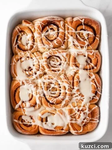 Photo of a plate of homemade vegan cinnamon rolls