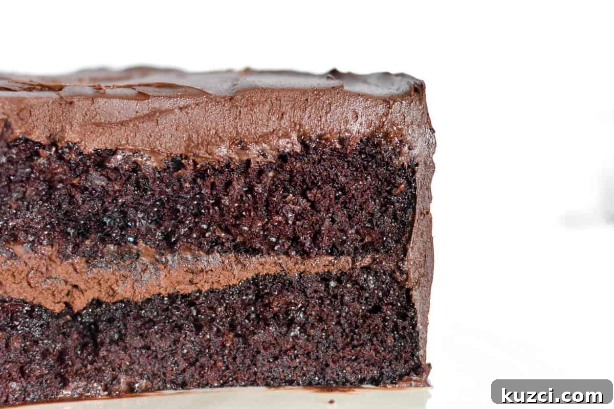 cross section of whole chocolate cake.