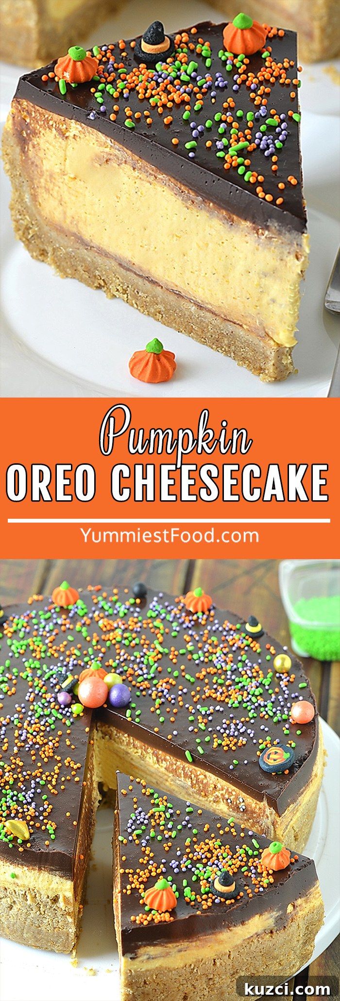 Delicious Pumpkin Cheesecake with Oreo crust and decadent chocolate topping is such an easy pumpkin dessert recipe perfect for the Fall season!