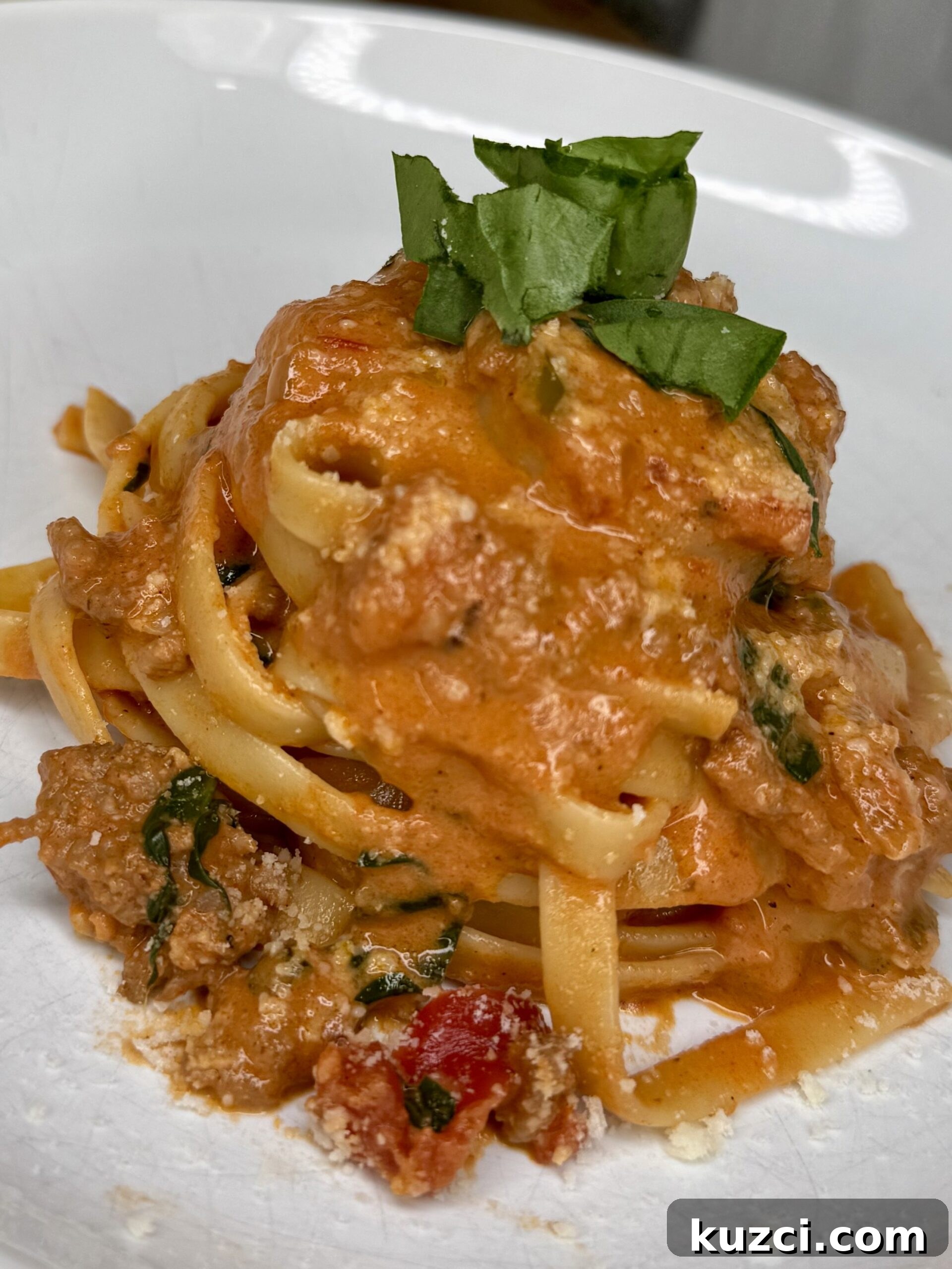 Creamy Sausage and Peppers Fettuccine 38 Finished pasta served hot