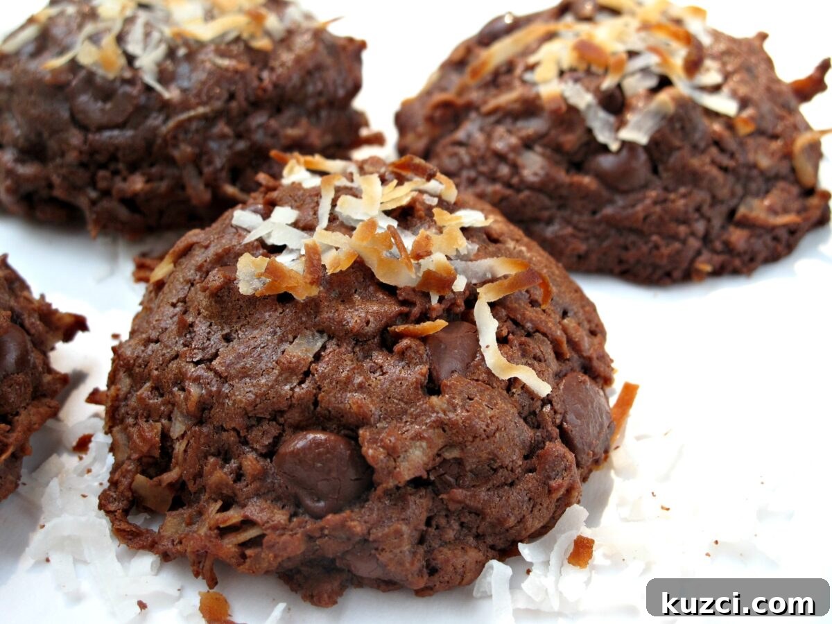 Chocolate Coconut Bliss Cookies - chewy fudgy chocolate cookie with coconut inside and out. Closeup showing thickness of cookie with embedded chocolate chips.