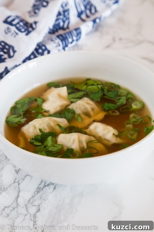 How to Make Authentic Wonton Soup 3 A bowl of soup, with Wonton and Pork