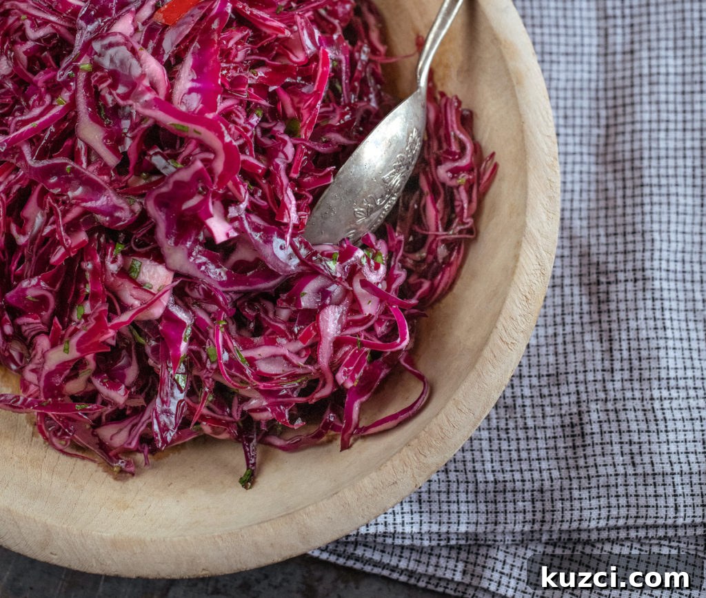 Weekly Meal Plan for March 8 to 13 3 Red Cabbage Salad with Herbs Whole30 Recipe from Smart in the Kitchen