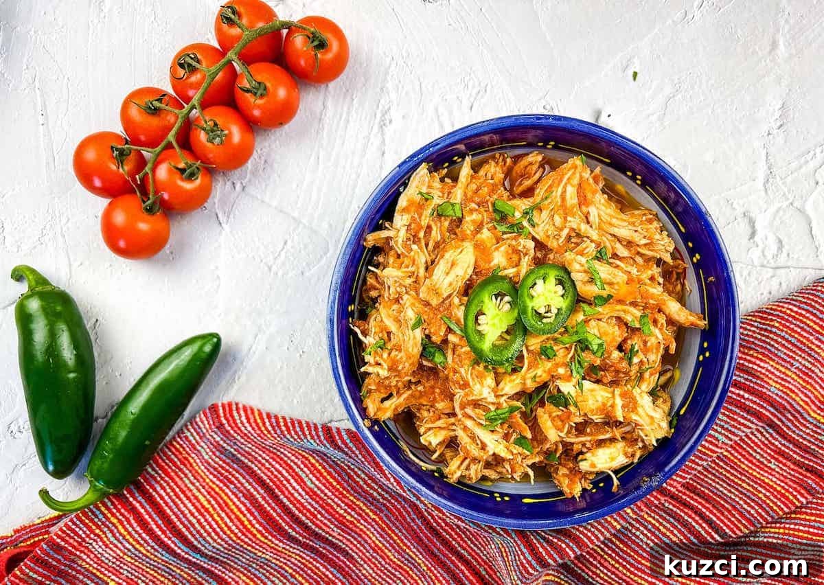 33 Fall Dinner Recipes Packed With Comfort Food Favorites 24 Chicken tinga in a blue bowl.